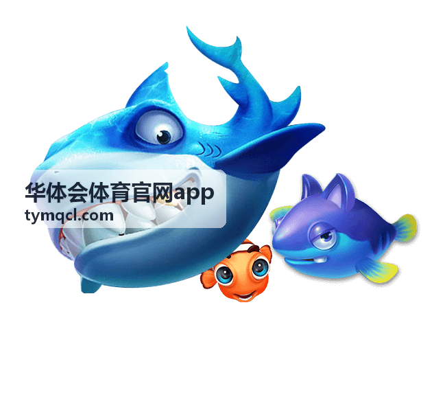 华体会体育官网app 篮球常规赛数据合集封面