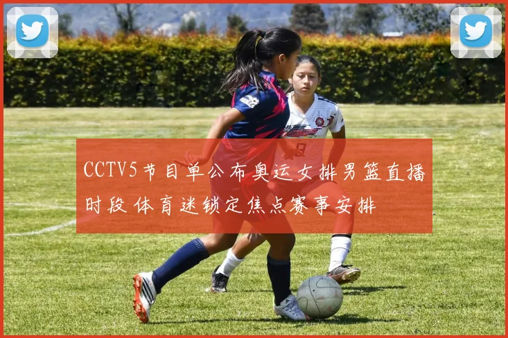 CCTV5节目单公布奥运女排男篮直播时段 体育迷锁定焦点赛事安排