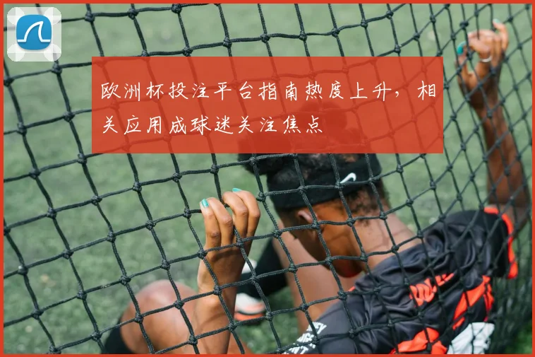 欧洲杯投注平台指南热度上升,相关应用成球迷关注焦点
