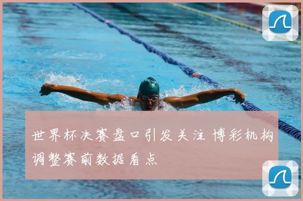 世界杯决赛盘口引发关注 博彩机构调整赛前数据看点