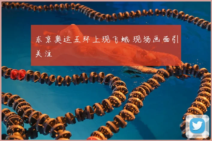 东京奥运五环上现飞蛾 现场画面引关注