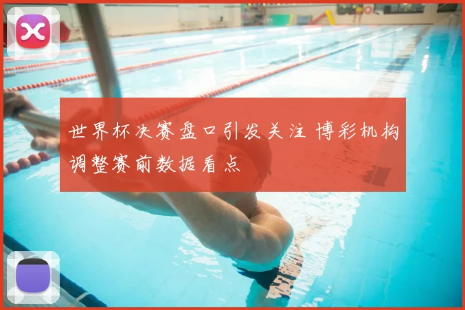 世界杯决赛盘口引发关注 博彩机构调整赛前数据看点